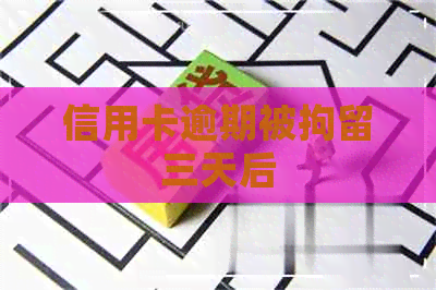 信用卡逾期被拘留三天后
