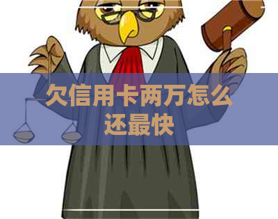 欠信用卡两万怎么还最快