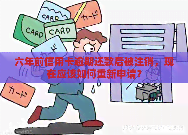 六年前信用卡逾期还款后被注销，现在应该如何重新申请？