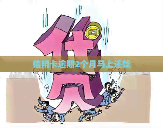 信用卡逾期2个月马上还款