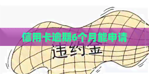 信用卡逾期6个月能申请