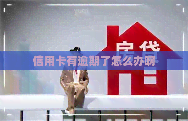 信用卡有逾期了怎么办啊