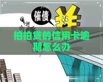 的信用卡逾期怎么办