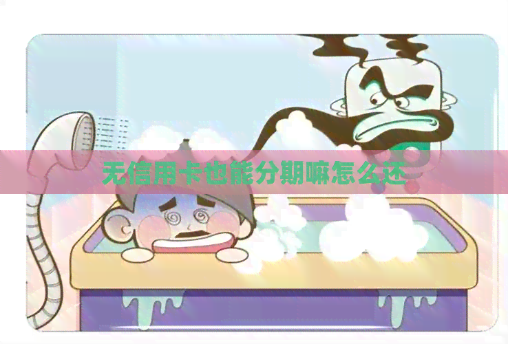 无信用卡也能分期嘛怎么还