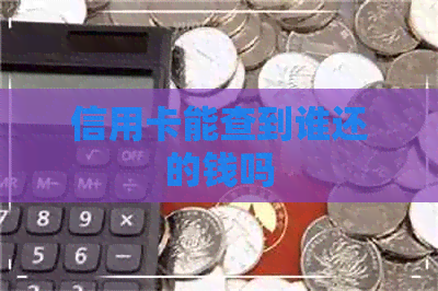 信用卡能查到谁还的钱吗