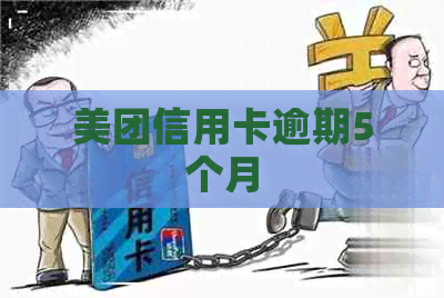 美团信用卡逾期5个月