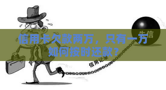信用卡欠款两万，只有一万如何按时还款？