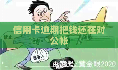 信用卡逾期把钱还在对公帐