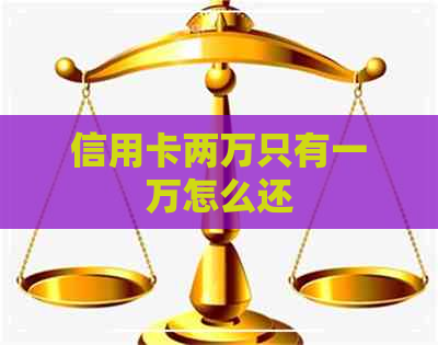 信用卡两万只有一万怎么还