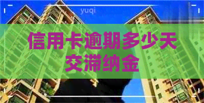 信用卡逾期多少天交滞纳金