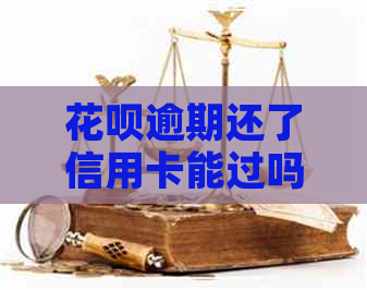 信用卡逾期还了信用卡能过吗