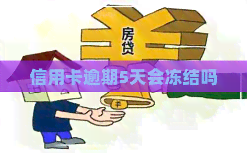信用卡逾期5天会冻结吗
