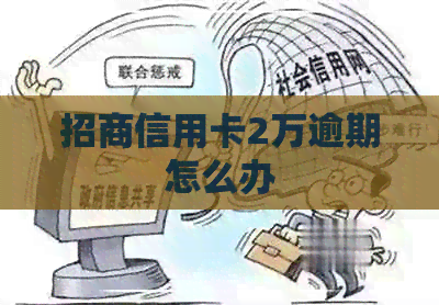 招商信用卡2万逾期怎么办