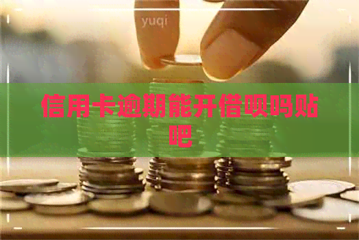 信用卡逾期能开网贷吗贴吧