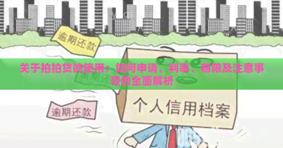 关于的使用：如何申请、利率、期限及注意事项的全面解析