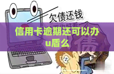 信用卡逾期还可以办u盾么