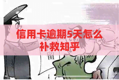 信用卡逾期5天怎么补救知乎