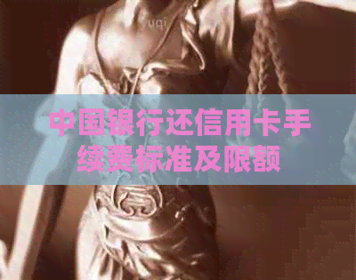 中国银行还信用卡手续费标准及限额