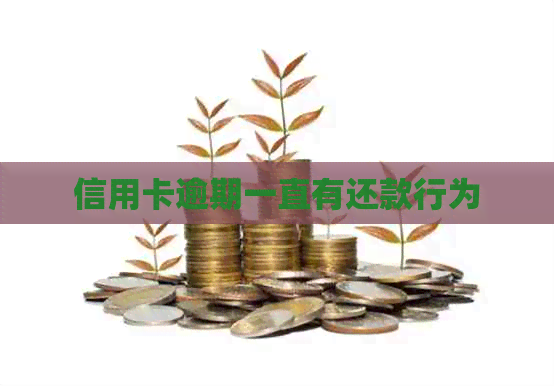 信用卡逾期一直有还款行为