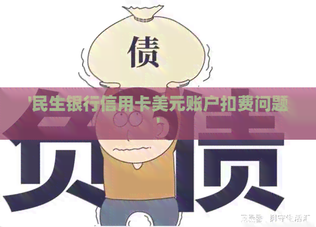 '民生银行信用卡美元账户扣费问题'