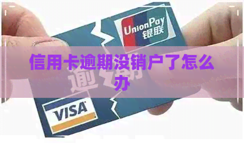 信用卡逾期没销户了怎么办