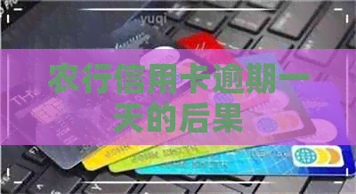 农行信用卡逾期一天的后果