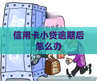 信用卡小贷逾期后怎么办