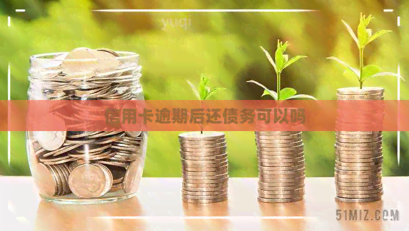 信用卡逾期后还债务可以吗