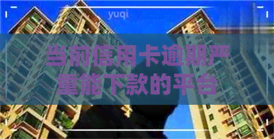 当前信用卡逾期严重能下款的平台