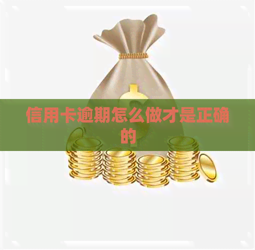 信用卡逾期怎么做才是正确的