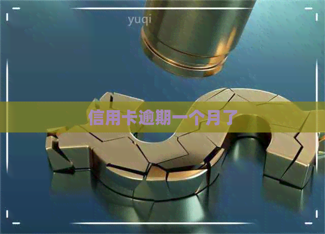 信用卡逾期一个月了