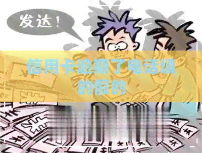信用卡逾期了电话填的假的