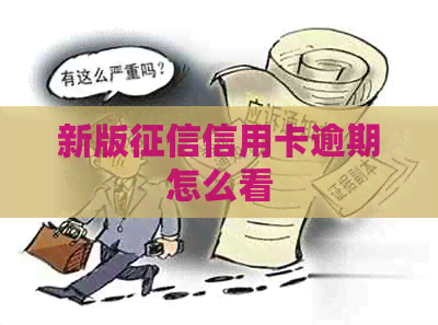 新版信用卡逾期怎么看