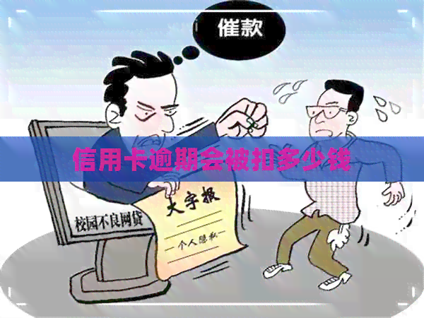 信用卡逾期会被扣多少钱