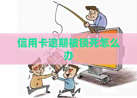 信用卡逾期被锁死怎么办