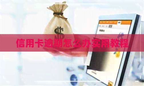 信用卡逾期怎么办实用教程