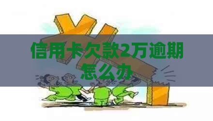 信用卡欠款2万逾期怎么办