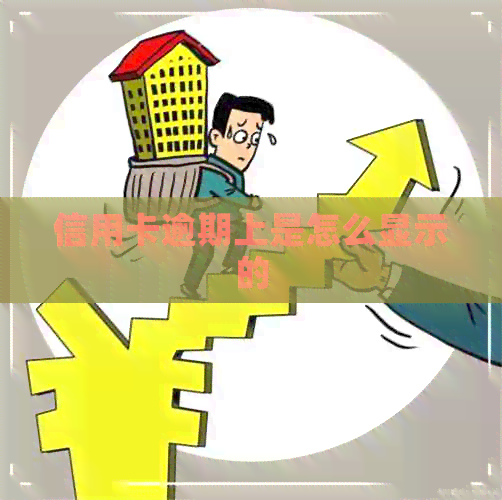 信用卡逾期上是怎么显示的