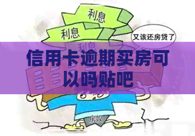 信用卡逾期买房可以吗贴吧