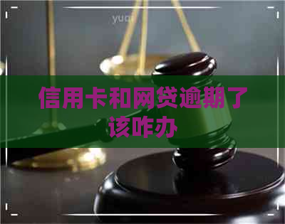 信用卡和网贷逾期了该咋办