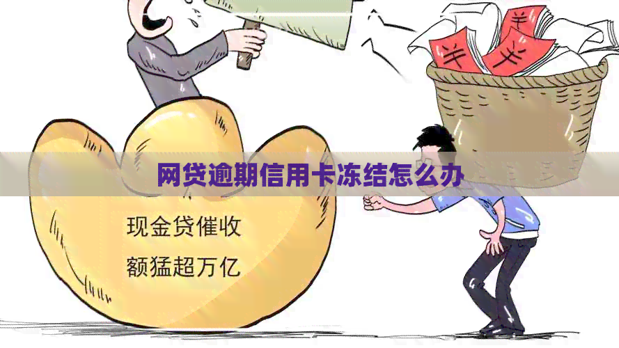 网贷逾期信用卡冻结怎么办
