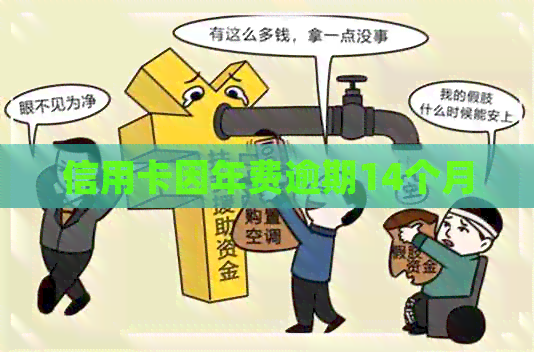 信用卡因年费逾期14个月
