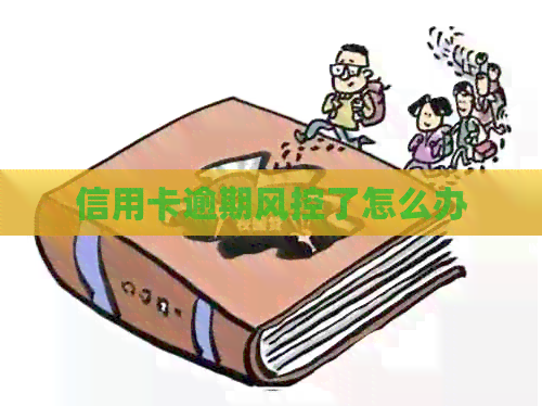 信用卡逾期风控了怎么办
