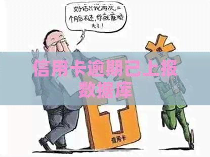 信用卡逾期已上报数据库