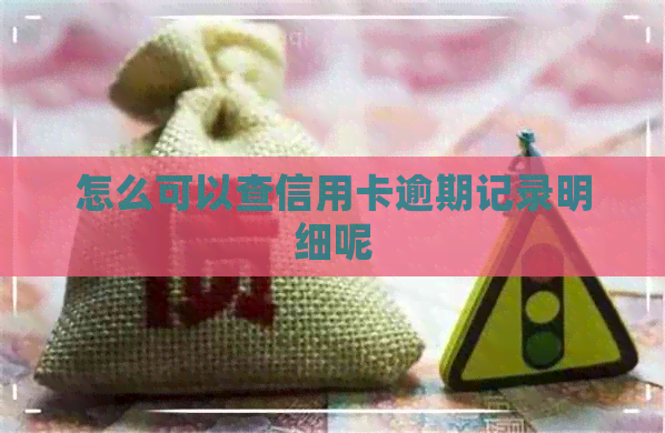 怎么可以查信用卡逾期记录明细呢