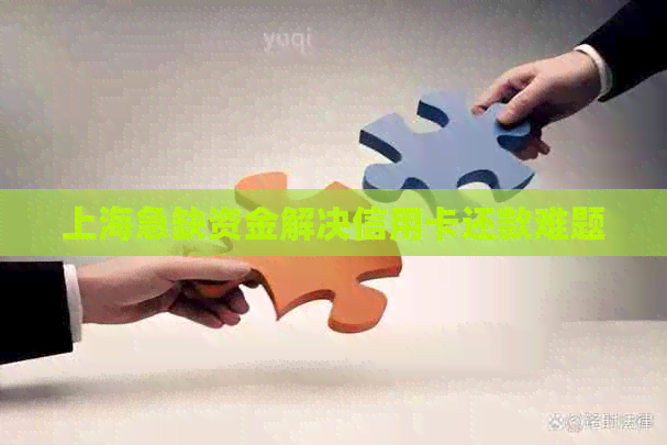 上海急缺资金解决信用卡还款难题