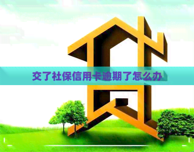交了社保信用卡逾期了怎么办