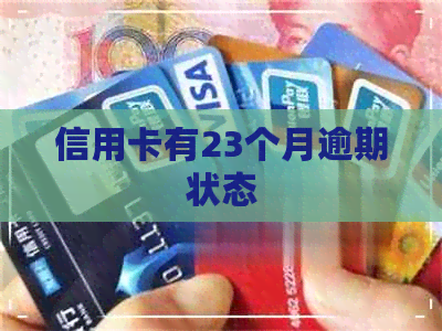 信用卡有23个月逾期状态