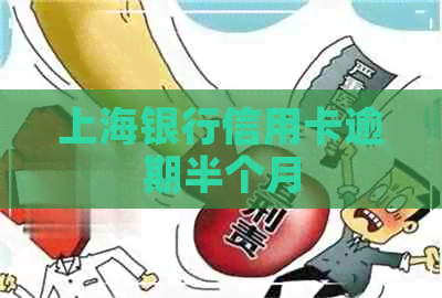 上海银行信用卡逾期半个月 上海银行信用卡逾期半个月