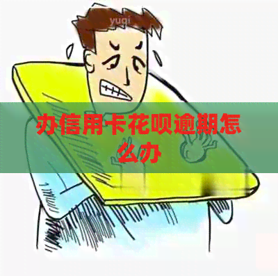 办信用卡信用卡逾期怎么办